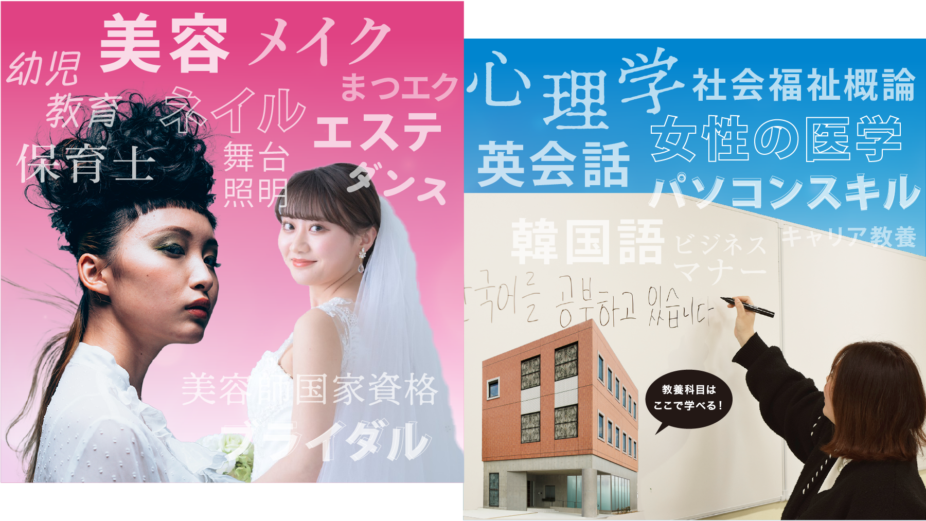 専門学校と短大のちがい